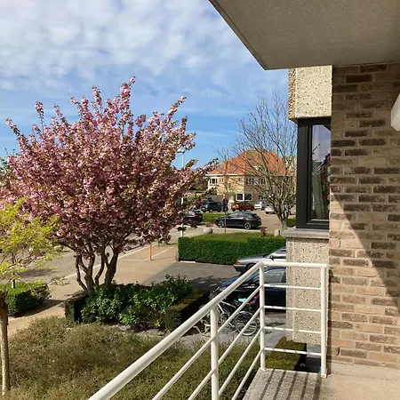 Vista Roses 오스텐드