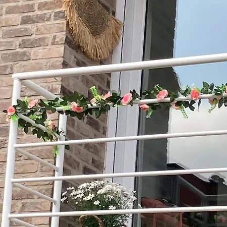 Vista Roses Daire *